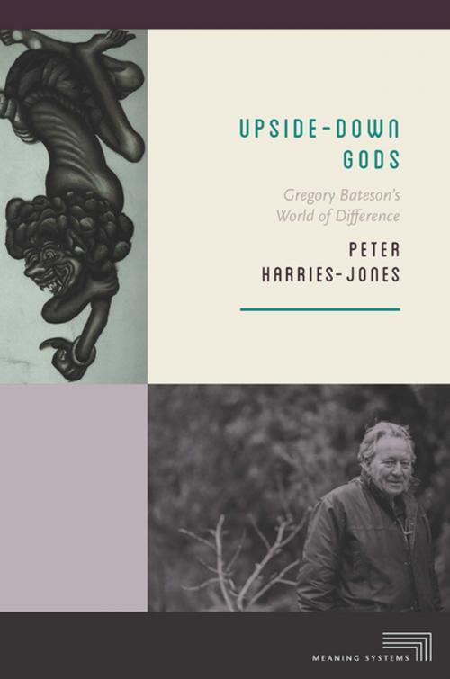 Cover of the book Upside-Down Gods by Peter Harries-Jones, Fordham University Press