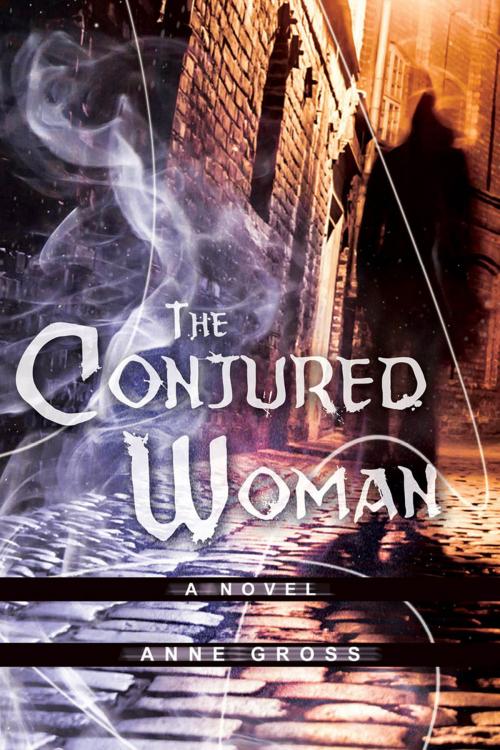 Cover of the book The Conjured Woman by Anne Gross, Beaufort Books