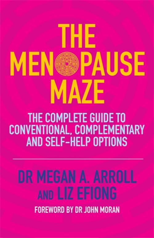 Cover of the book The Menopause Maze by Liz Efiong, Dr Megan A. Arroll, Jessica Kingsley Publishers