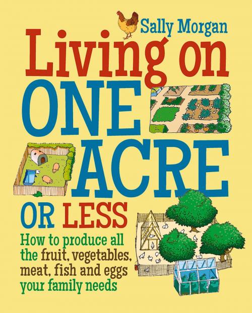 Cover of the book Living on One Acre or Less by Sally Morgan, UIT Cambridge Ltd.