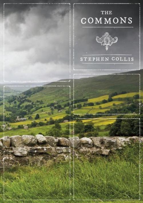 Cover of the book The Commons by Stephen Collis, Talonbooks