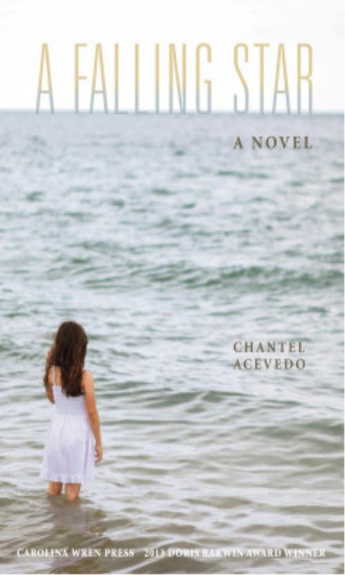 Cover of the book A Falling Star by Chantel Acevedo, Blair