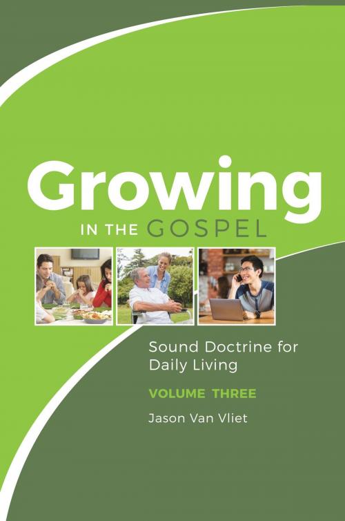Cover of the book Growing in the Gospel by Jason Van Vliet, Lucerna: CRTS Publications