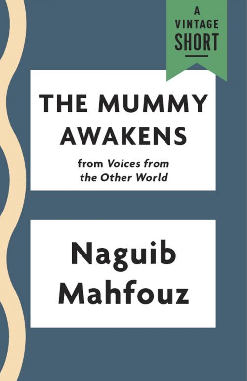 Cover of the book The Mummy Awakens by Naguib Mahfouz, Knopf Doubleday Publishing Group