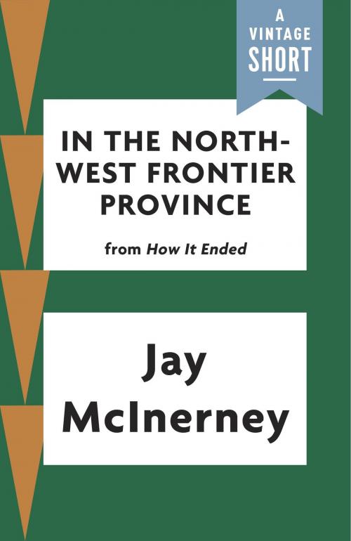 Cover of the book In the North-West Frontier Province by Jay McInerney, Knopf Doubleday Publishing Group