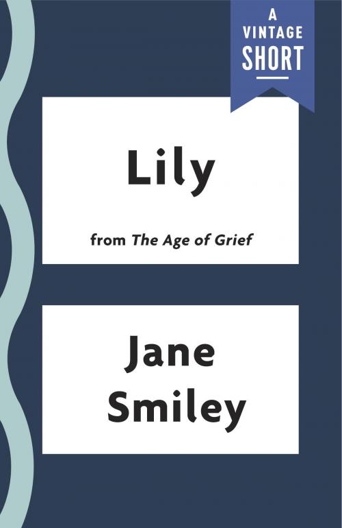 Cover of the book Lily by Jane Smiley, Knopf Doubleday Publishing Group