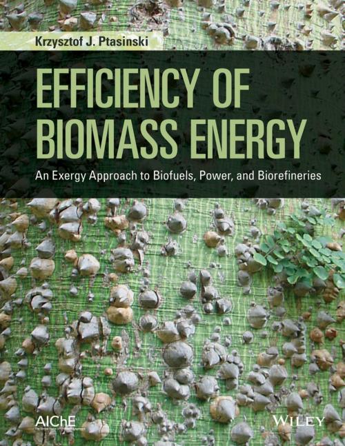 Cover of the book Efficiency of Biomass Energy by Krzysztof J. Ptasinski, Wiley
