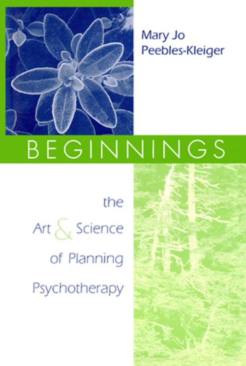 Cover of the book Beginnings by Mary Jo Peebles-Kleiger, Taylor and Francis
