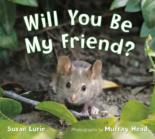Cover of the book Will You Be My Friend? by Susan Lurie, Feiwel & Friends