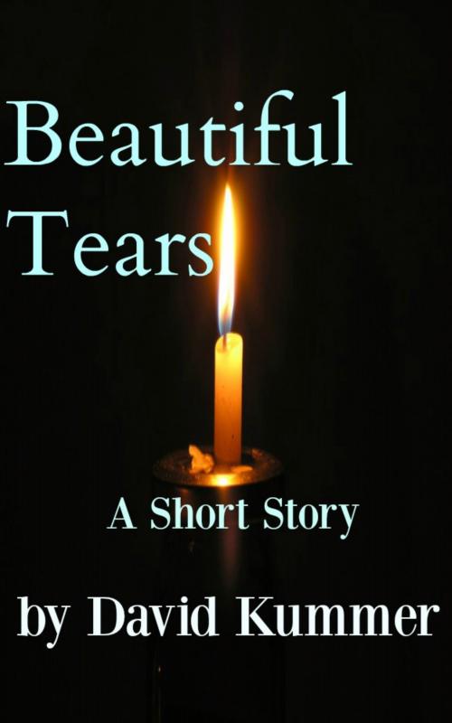 Cover of the book Beautiful Tears: A Contemporary Fiction Short Story by David Duane Kummer, David Duane Kummer