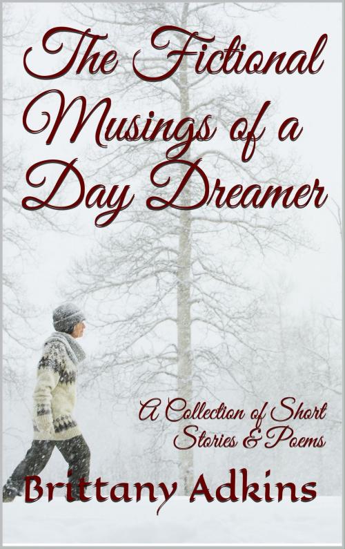 Cover of the book The Fictional Musings of a Day Dreamer by Brittany Adkins, Brittany Adkins