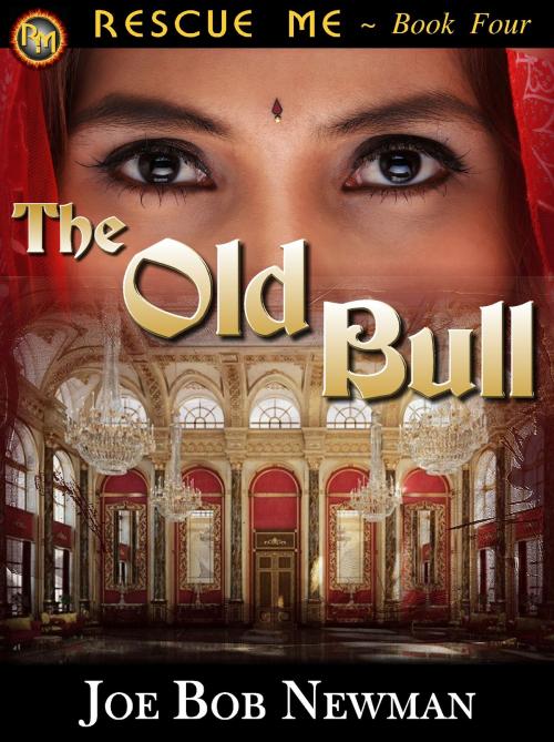 Cover of the book The Old Bull by Joe Bob Newman, Joe Bob Newman