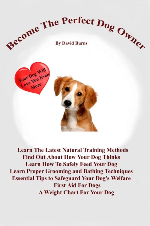 Cover of the book Become The Perfect Dog Owner by David Burns, David Burns