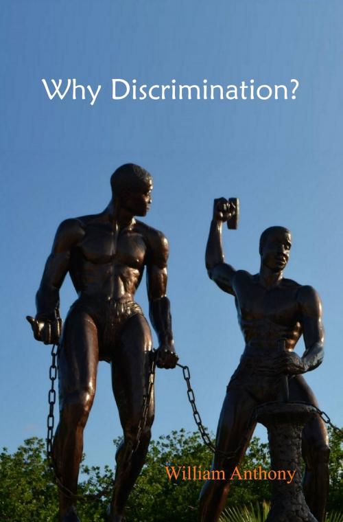 Cover of the book Why Discrimination? by William Anthony, William Anthony