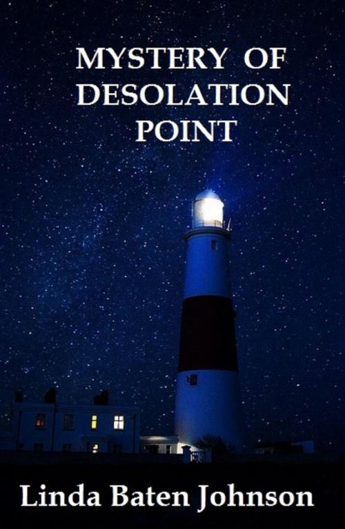 Cover of the book Mystery of Desolation Point by Linda Baten Johnson, Linda Baten Johnson
