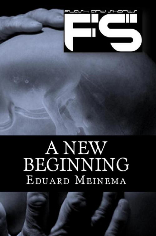 Cover of the book A New Beginning by Eduard Meinema, Eduard Meinema