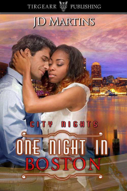 Cover of the book One Night in Boston by JD Martins, Tirgearr Publishing