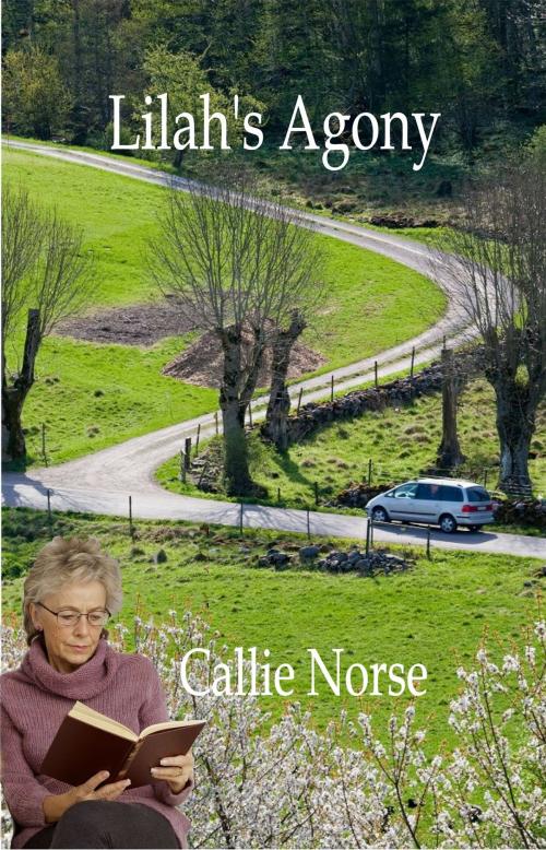 Cover of the book Lilah's Agony by Callie Norse, Callie Norse