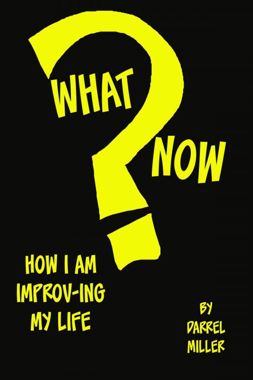 Cover of the book What Now? by Darrel Miller, Darrel Miller