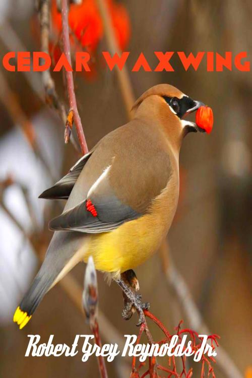 Cover of the book Cedar Waxwing by Robert Grey Reynolds Jr, Robert Grey Reynolds, Jr