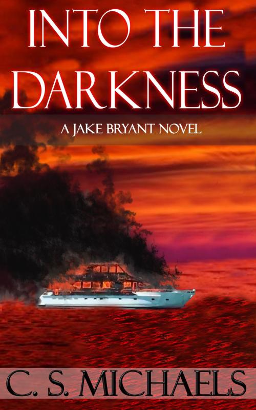 Cover of the book Into the Darkness by C.S. Michaels, C.S. Michaels