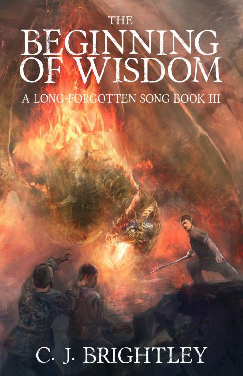 Cover of the book The Beginning of Wisdom by CJ Brightley, CJ Brightley