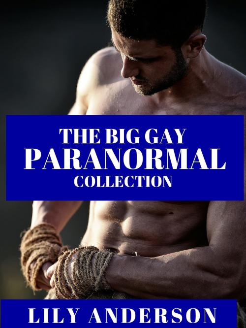 Cover of the book The Big Gay Paranormal Collection by Lily Anderson, Lily Anderson