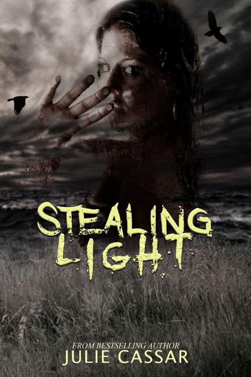 Cover of the book Stealing Light by Julie Cassar, Julie Cassar