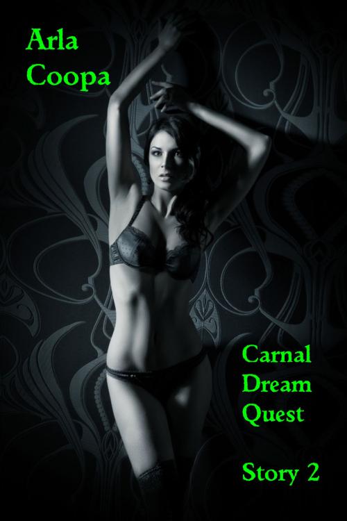 Cover of the book Carnal Dream Quest: Story 2 by Arla Coopa, Arla Coopa