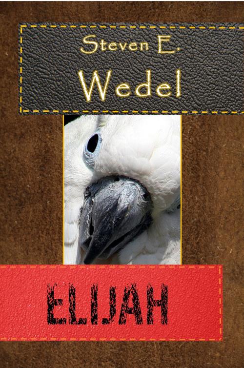 Cover of the book Elijah by Steven E. Wedel, Steven E. Wedel