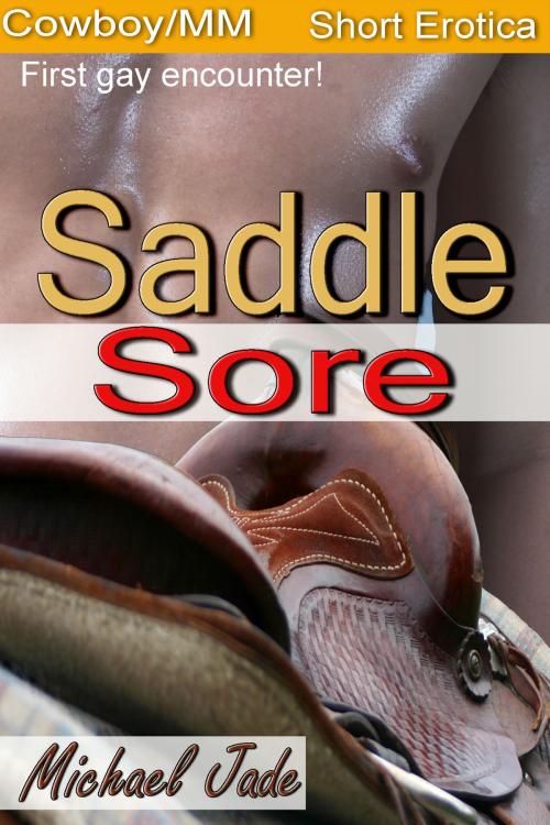 Cover of the book Saddle Sore by Michael Jade, Michael Jade