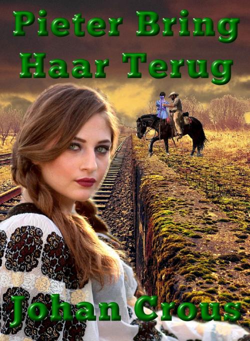 Cover of the book Pieter Bring Haar Terug by Johan Crous, Johan Crous