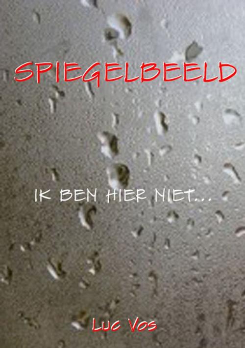 Cover of the book Spiegelbeeld by Luc Vos, Luc Vos
