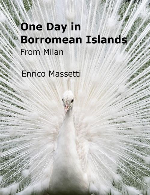 Cover of the book One Day in Borromean Islands from Milan by Enrico Massetti, Lulu.com