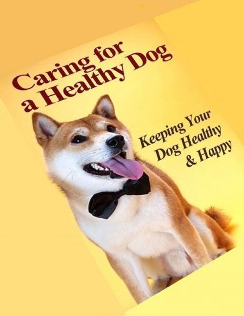 Cover of the book Caring for a Healthy Dog by Charlotte Kobetis, Lulu.com