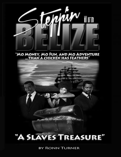 Cover of the book Steppin In Belize by Ronn Turner, Lulu.com