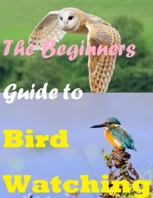 Cover of the book The Beginners Guide to Bird Watching by Raymond Evans, Lulu.com