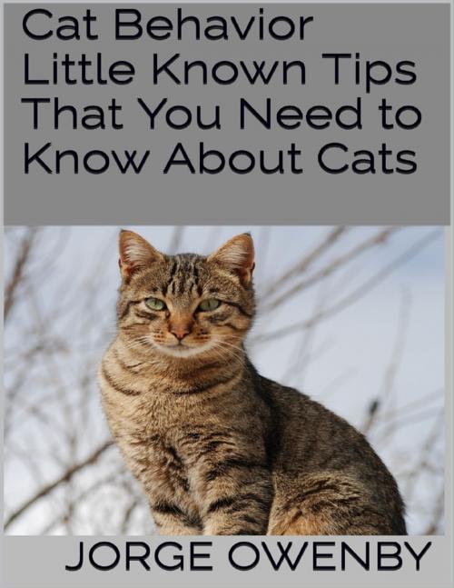 Cover of the book Cat Behavior: Little Known Tips That You Need to Know About Cats by Jorge Owenby, Lulu.com