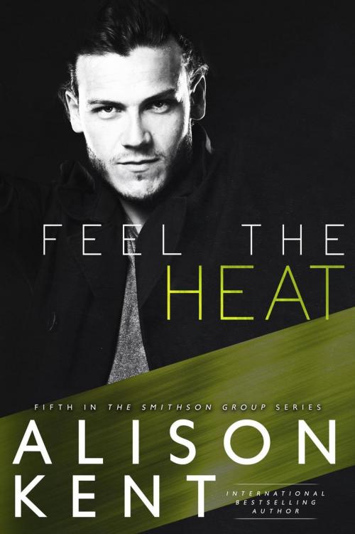 Cover of the book Feel the Heat by Alison Kent, Rocks and Ink