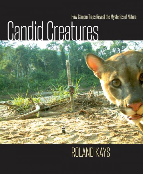 Cover of the book Candid Creatures by Roland Kays, Johns Hopkins University Press
