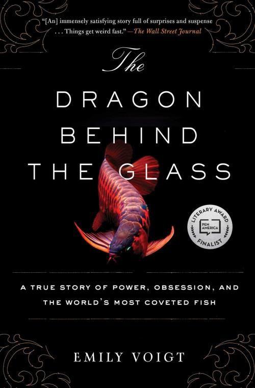 Cover of the book The Dragon Behind the Glass by Emily Voigt, Scribner