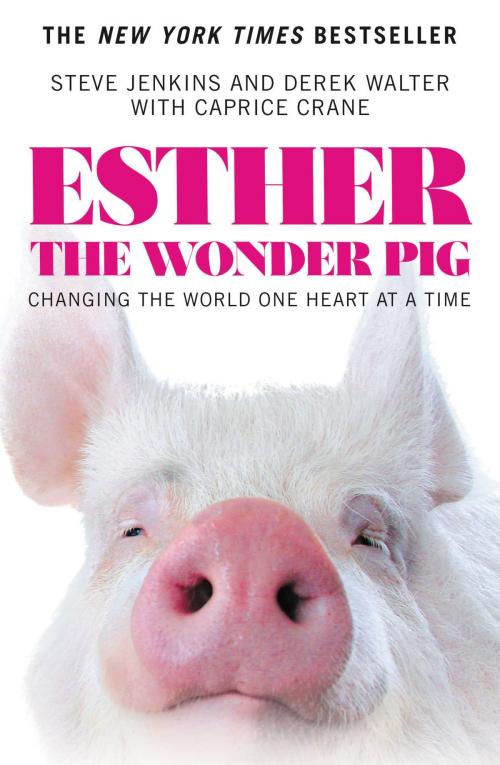 Cover of the book Esther the Wonder Pig by Steve Jenkins, Derek Walter, Caprice Crane, Grand Central Publishing