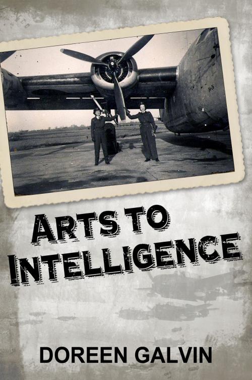 Cover of the book Arts to Intelligence by Doreen Galvin, eBookIt.com