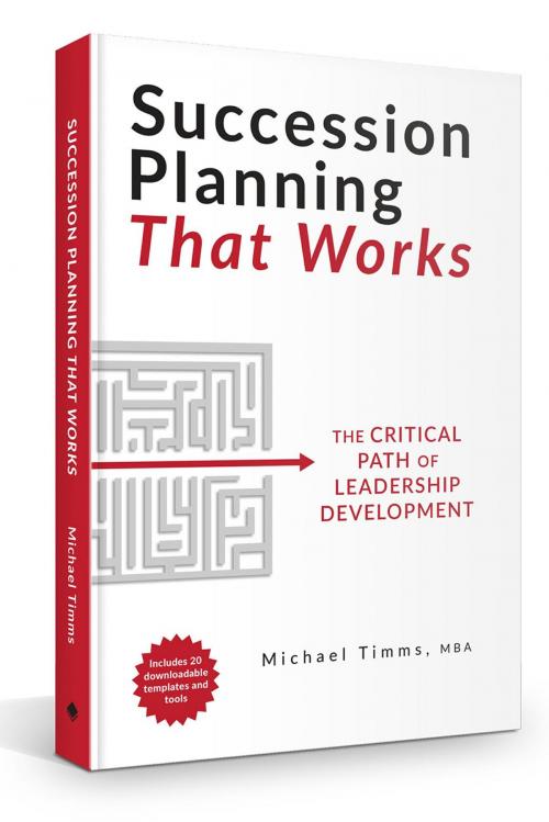Cover of the book Succession Planning That Works by Michael Timms, FriesenPress