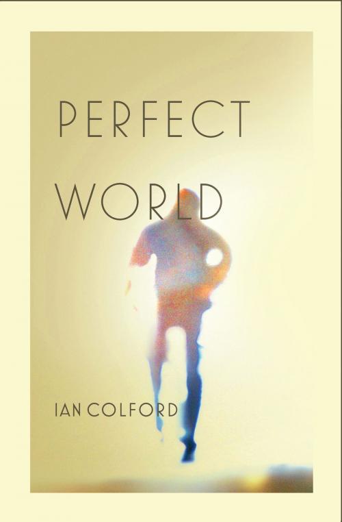 Cover of the book Perfect World by Ian Colford, Freehand