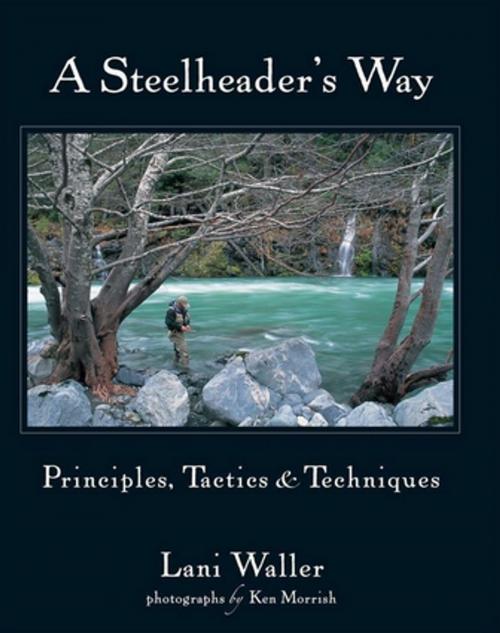 Cover of the book A Steelheader's Way by Lani Waller, Headwater Books