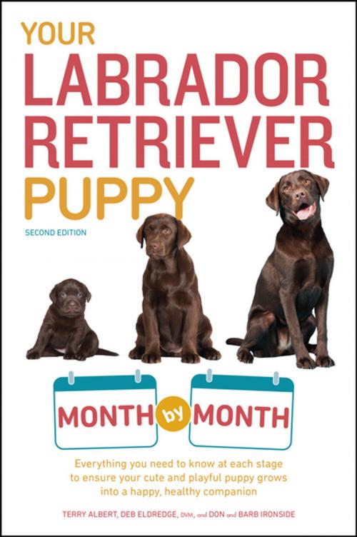Cover of the book Your Labrador Retriever Puppy Month by Month, 2nd Edition by Terry Albert, Debra Eldredge DVM, Don Ironside, Barb Ironside, DK Publishing