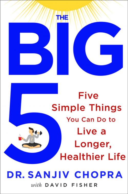 Cover of the book The Big Five by Sanjiv Chopra, David Fisher, St. Martin's Press
