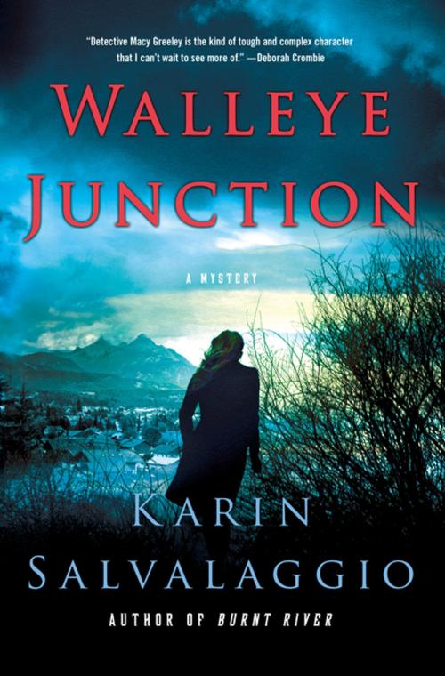 Cover of the book Walleye Junction by Karin Salvalaggio, St. Martin's Press
