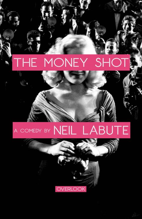 Cover of the book The Money Shot by Neil LaBute, ABRAMS